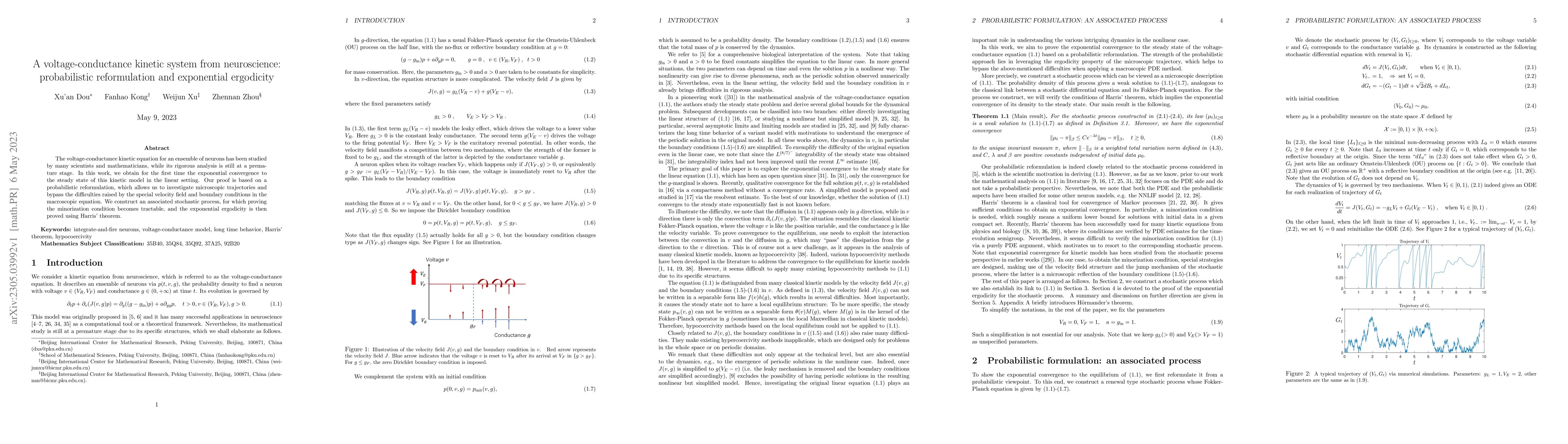 Thumbnail for A voltage-conductance kinetic system from neuroscience: probabilistic
  reformulation and exponential ergodicity