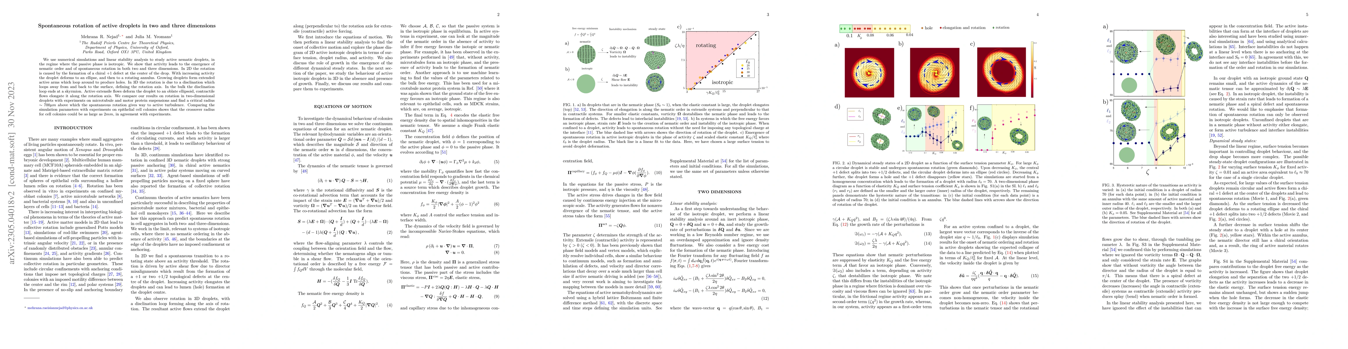 Thumbnail for Spontaneous rotation of active droplets in two and three dimensions