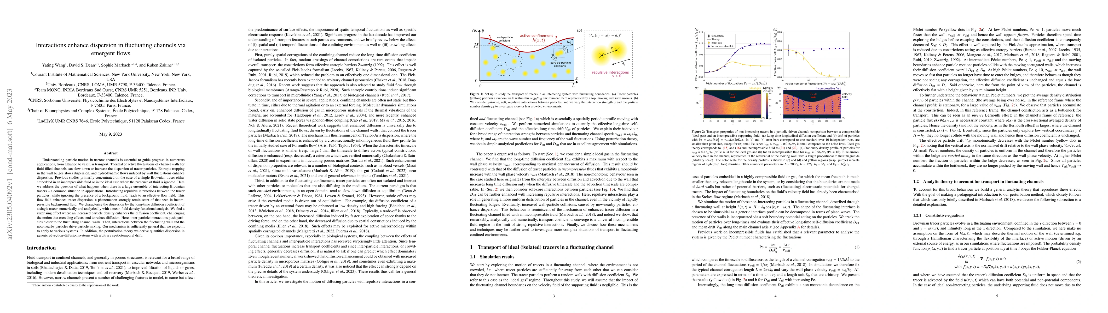 Thumbnail for Interactions enhance dispersion in fluctuating channels via emergent
  flows