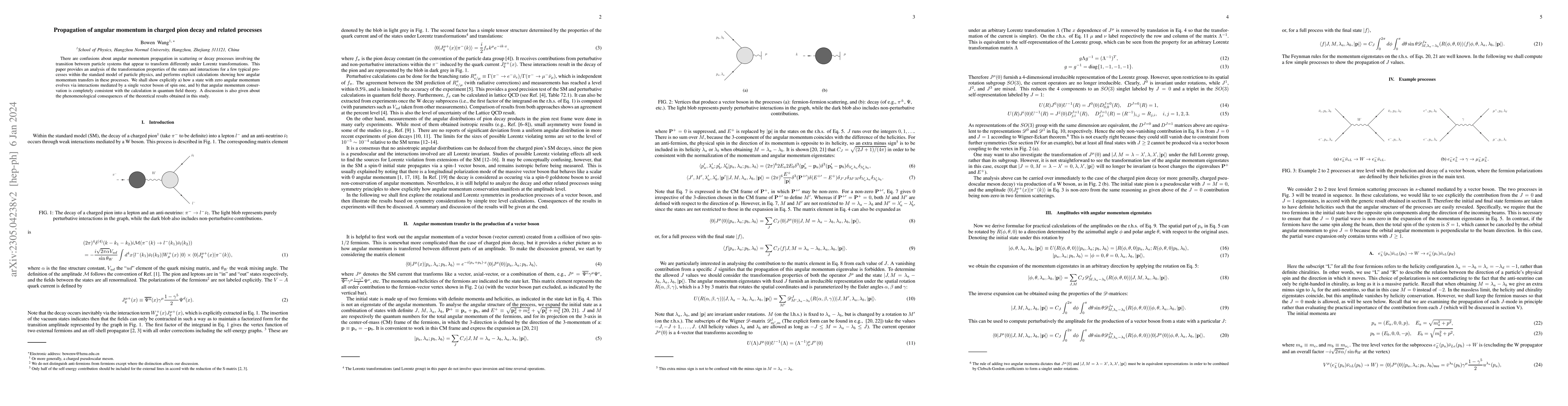 Thumbnail for Propagation of angular momentum in charged pion decay and related
  processes