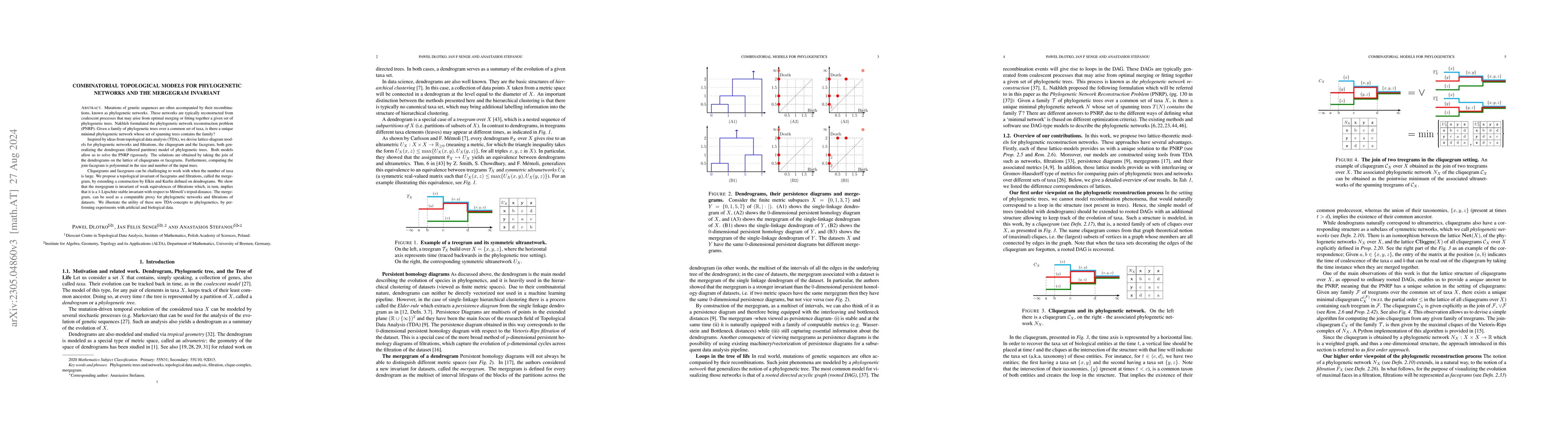 Thumbnail for Combinatorial Topological Models for Phylogenetic Networks and the
  Mergegram Invariant