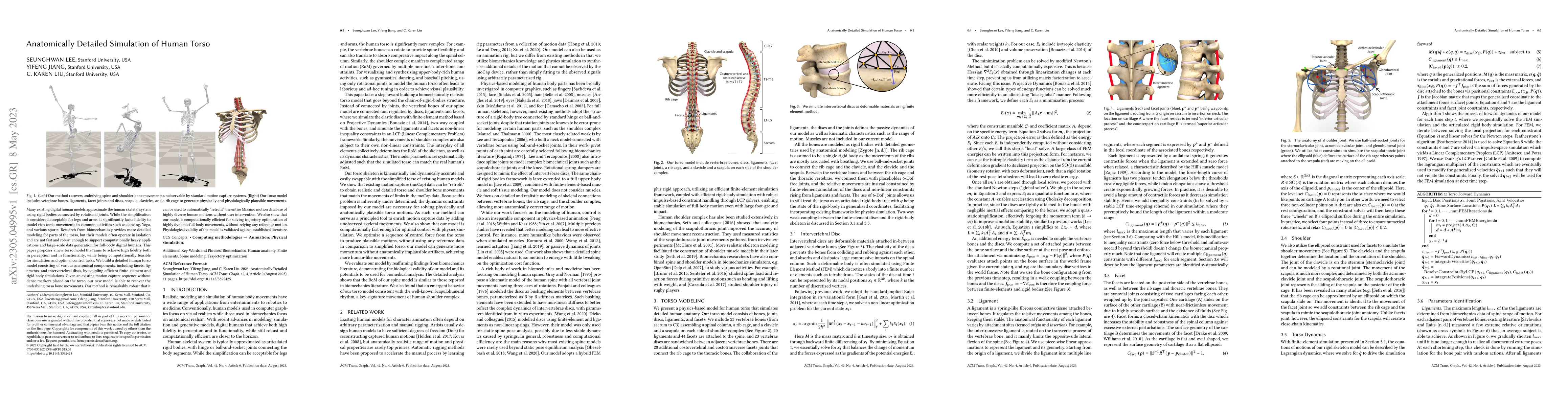 Thumbnail for Anatomically Detailed Simulation of Human Torso