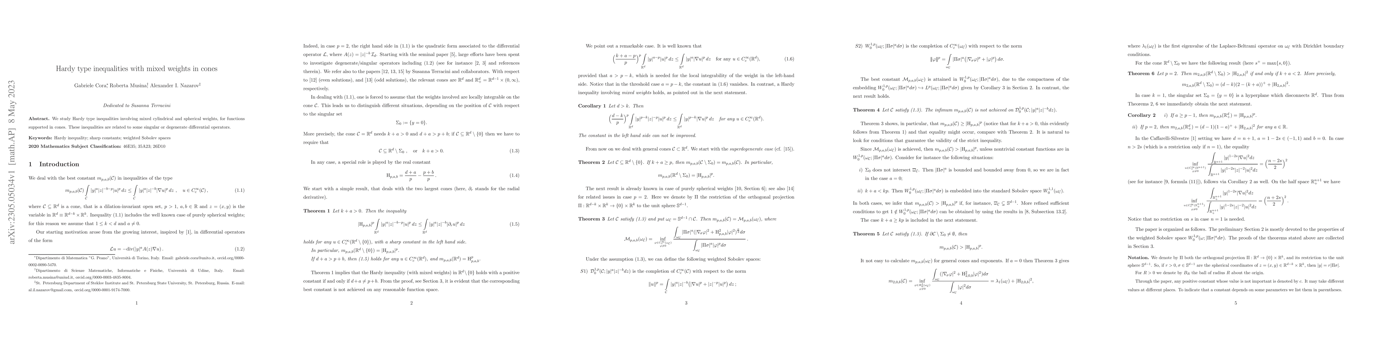 Thumbnail for Hardy type inequalities with mixed weights in cones