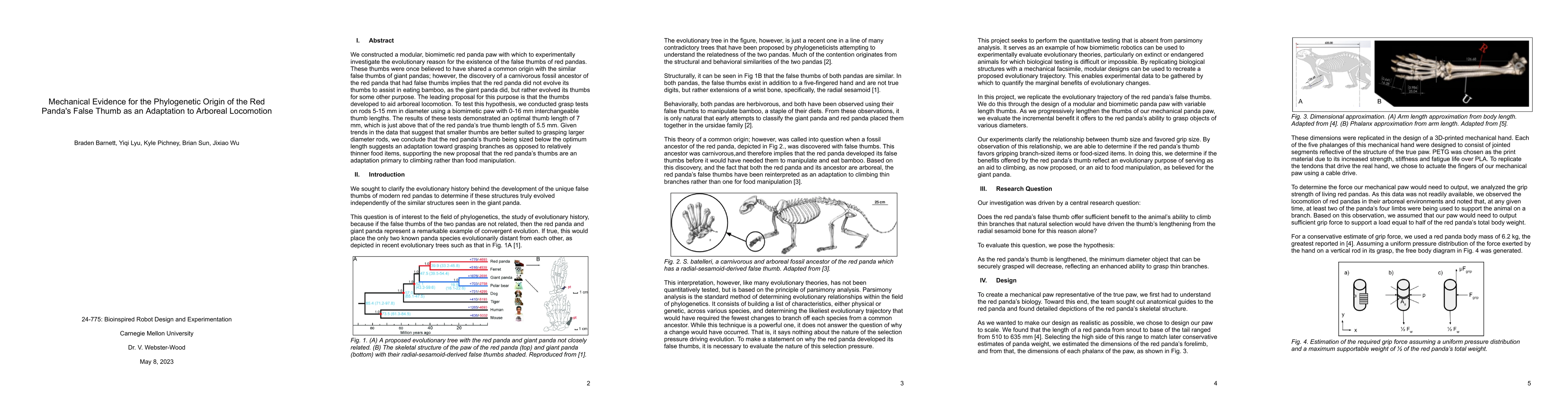 Thumbnail for Mechanical Evidence for the Phylogenetic Origin of the Red Panda's False
  Thumb as an Adaptation to Arboreal Locomotion
