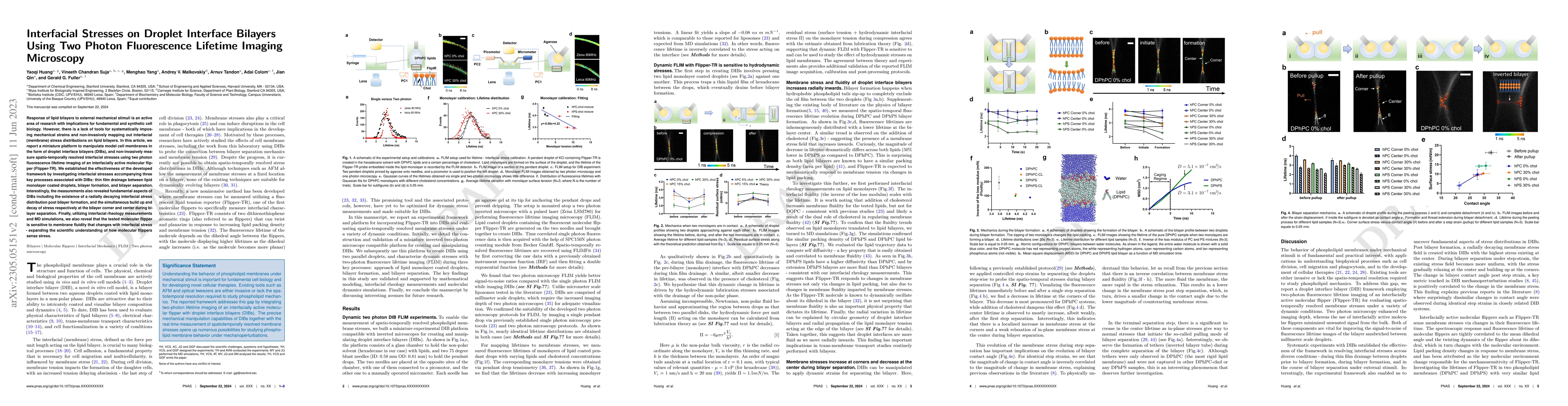 Thumbnail for Interfacial Stresses on Droplet Interface Bilayers Using Two Photon
  Fluorescence Lifetime Imaging Microscopy