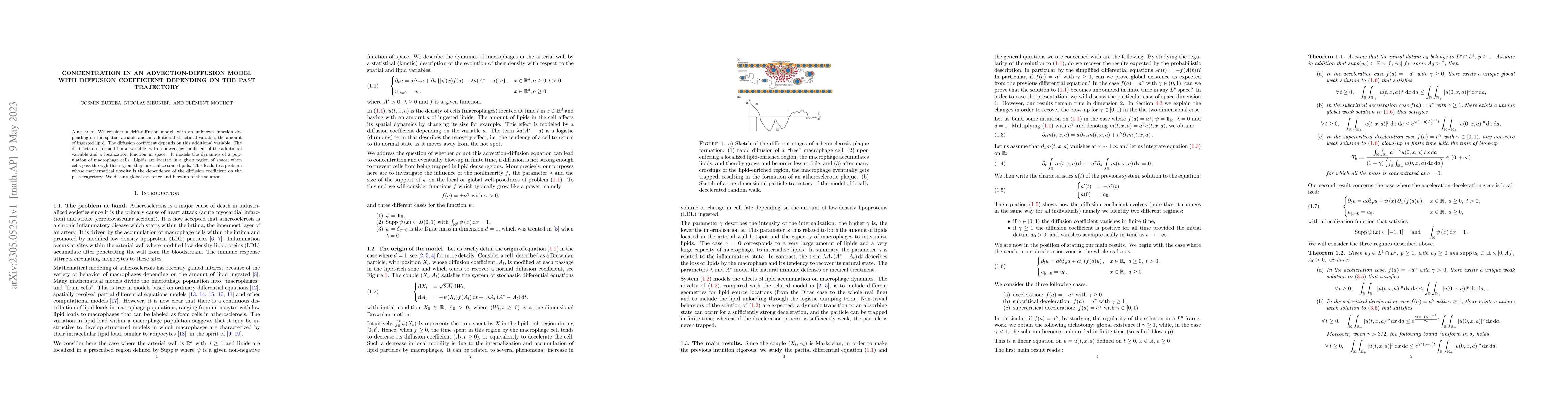 Thumbnail for Concentration in an advection-diffusion model with diffusion coefficient
  depending on the past trajectory