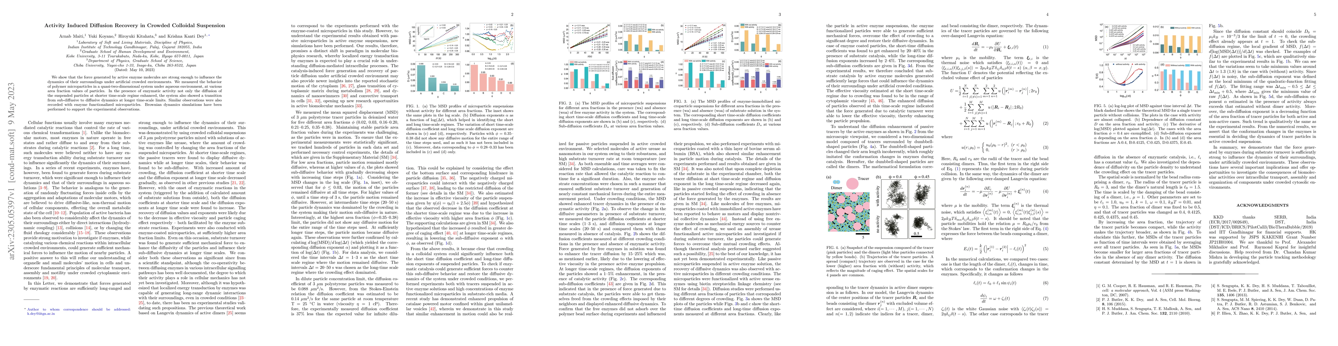 Thumbnail for Activity Induced Diffusion Recovery in Crowded Colloidal Suspension