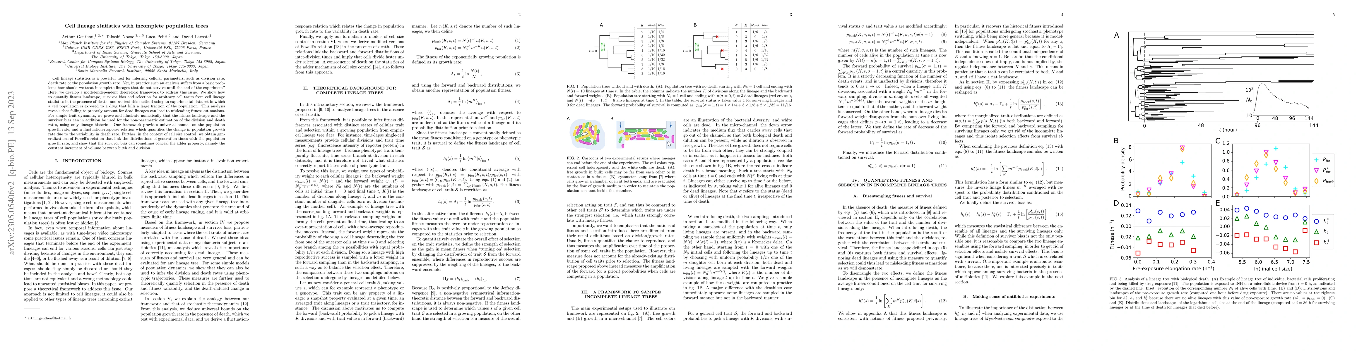 Thumbnail for Cell lineage statistics with incomplete population trees