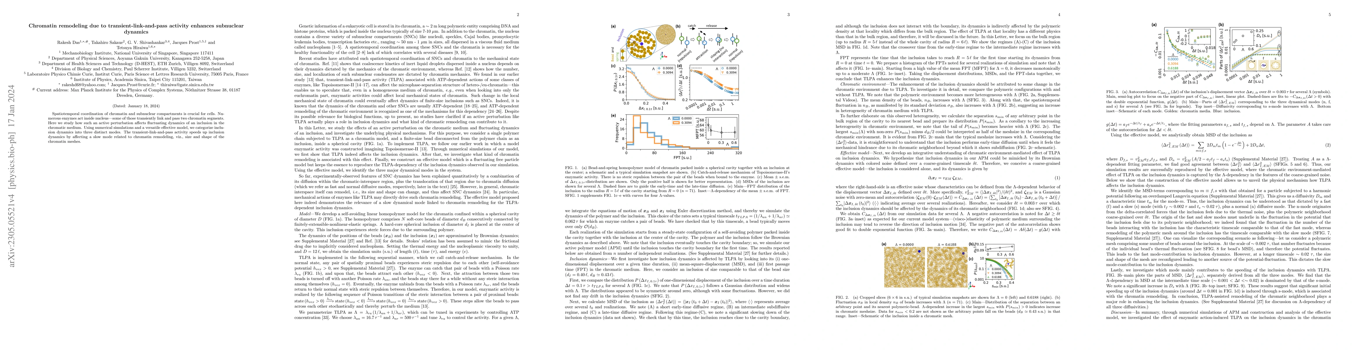 Thumbnail for Chromatin remodeling due to transient-link-and-pass activity enhances
  subnuclear dynamics