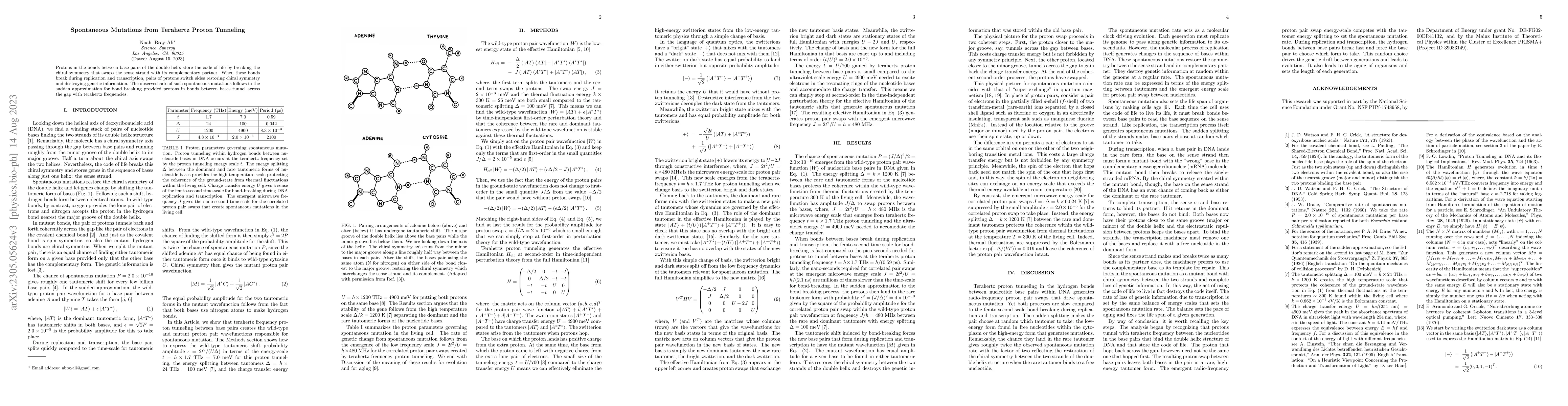 Thumbnail for Spontaneous Mutations from Terahertz Proton Tunneling