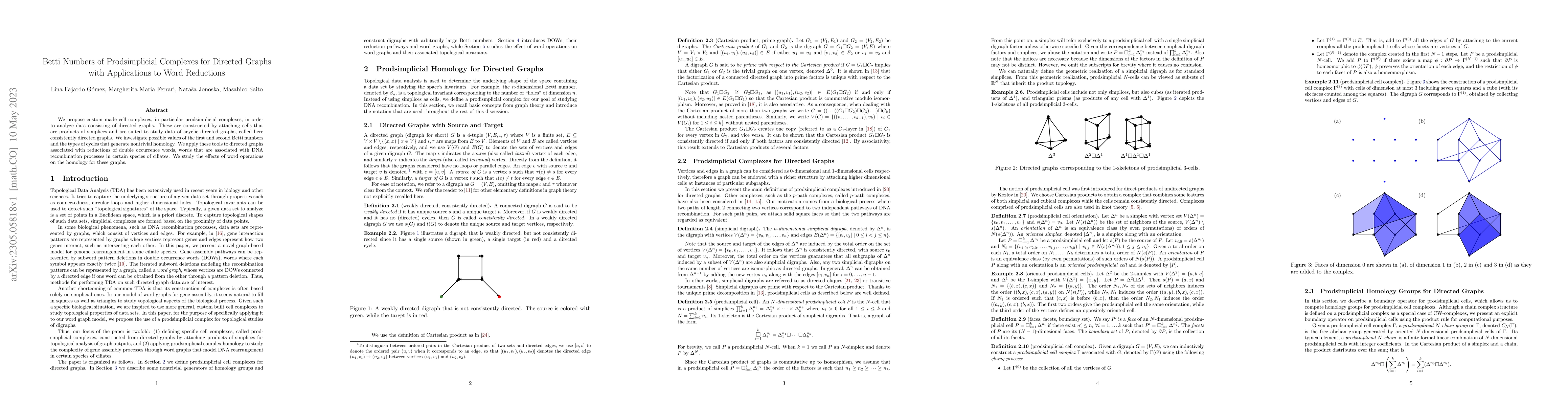Thumbnail for Betti Numbers of Prodsimplicial Complexes for Directed Graphs with
  Applications to Word Reductions