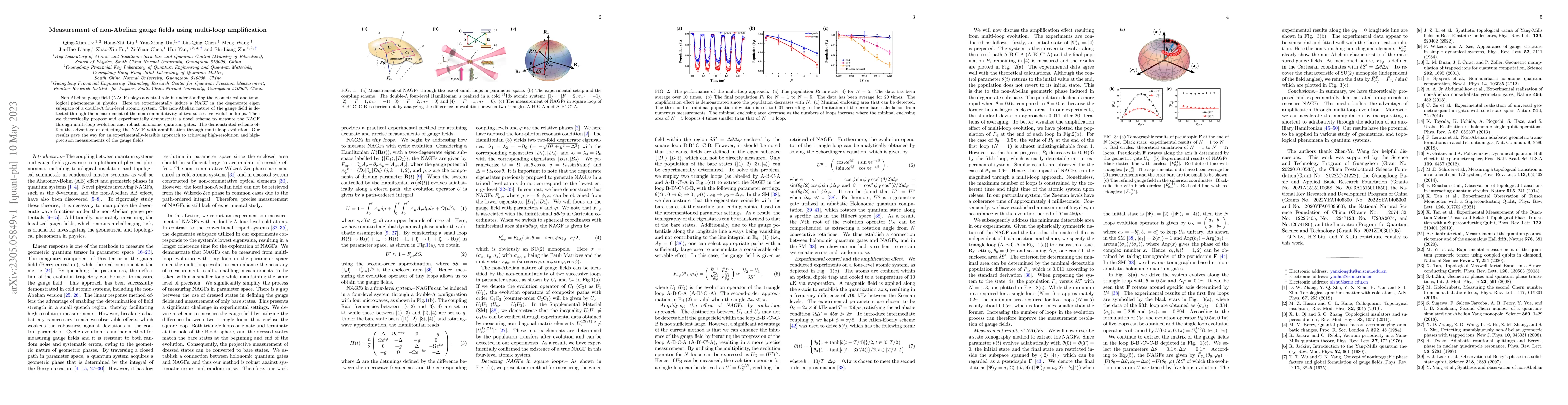 Thumbnail for Measurement of non-Abelian gauge fields using multi-loop amplification