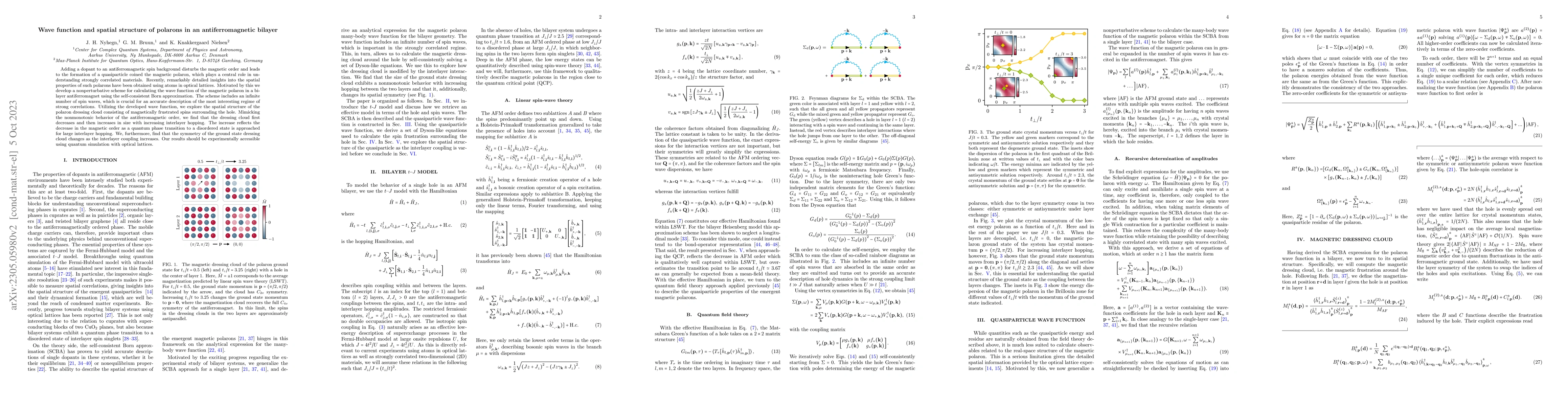 Thumbnail for Wave function and spatial structure of polarons in an antiferromagnetic
  bilayer