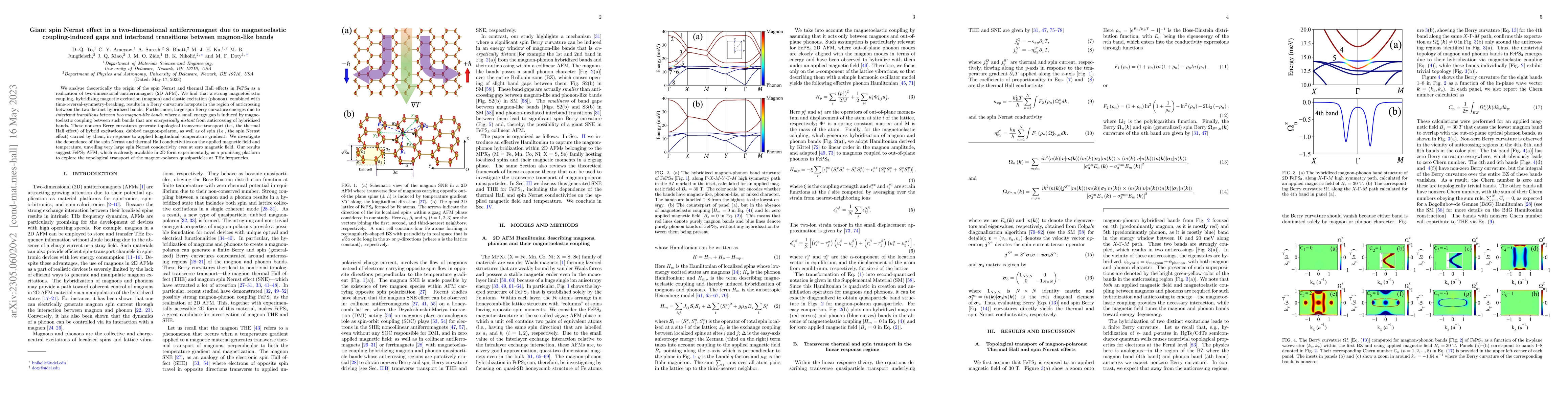 Thumbnail for Giant spin Nernst effect in a two-dimensional antiferromagnet due to
  magnetoelastic coupling-induced gaps and interband transitions between
  magnon-like bands