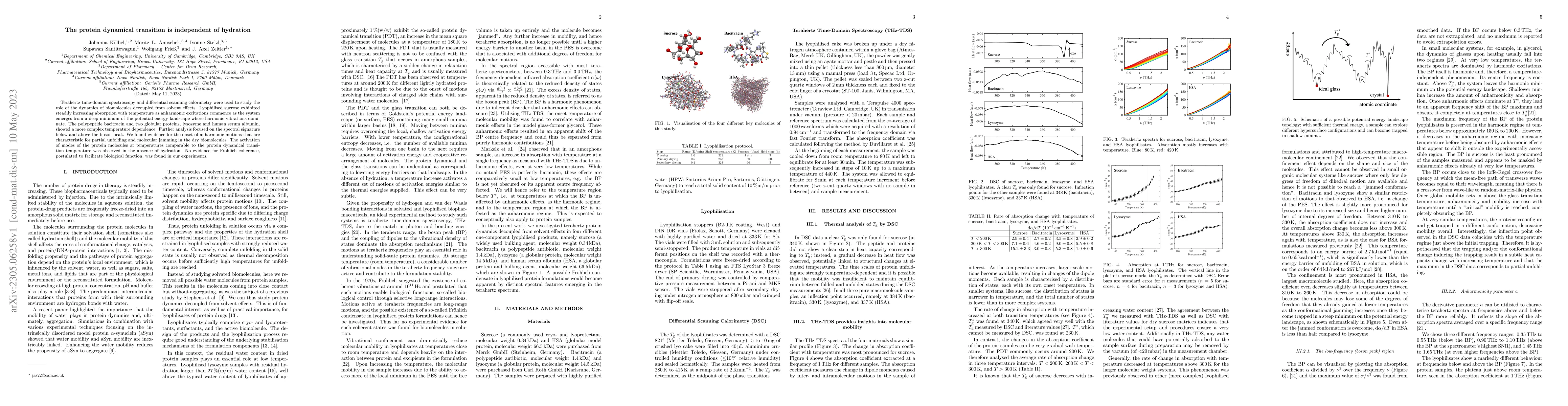 Thumbnail for The protein dynamical transition is independent of hydration