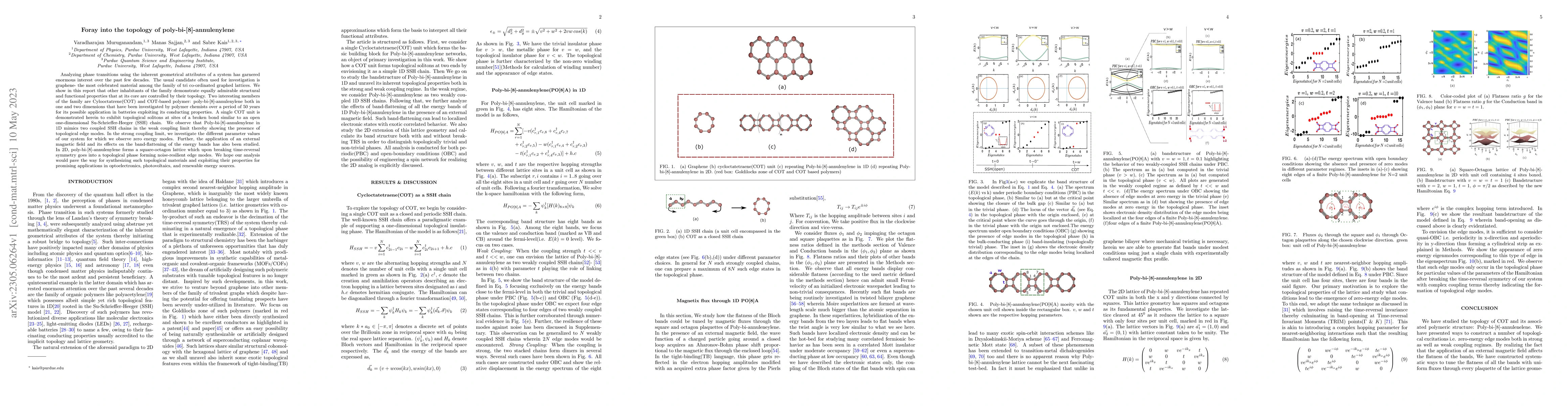 Thumbnail for Foray into the topology of poly-bi-[8]-annulenylene