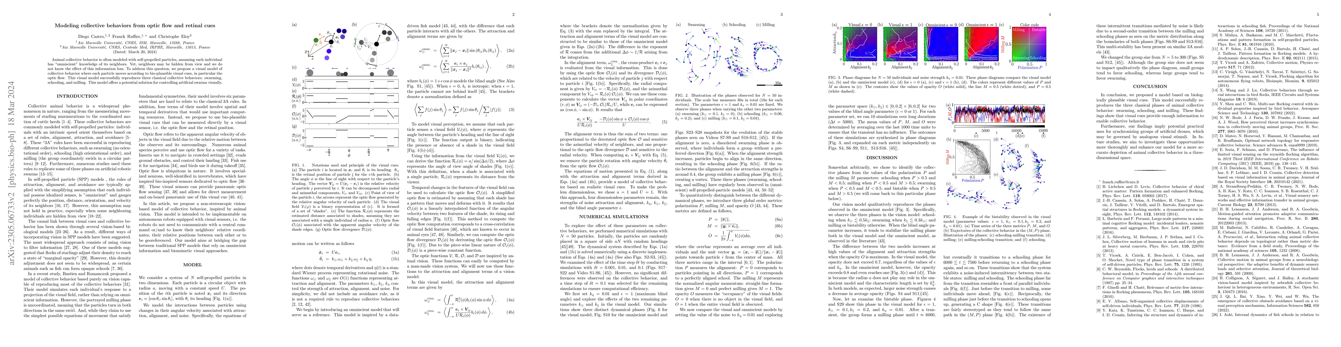 Thumbnail for Modeling collective behaviors from optic flow and retinal cues