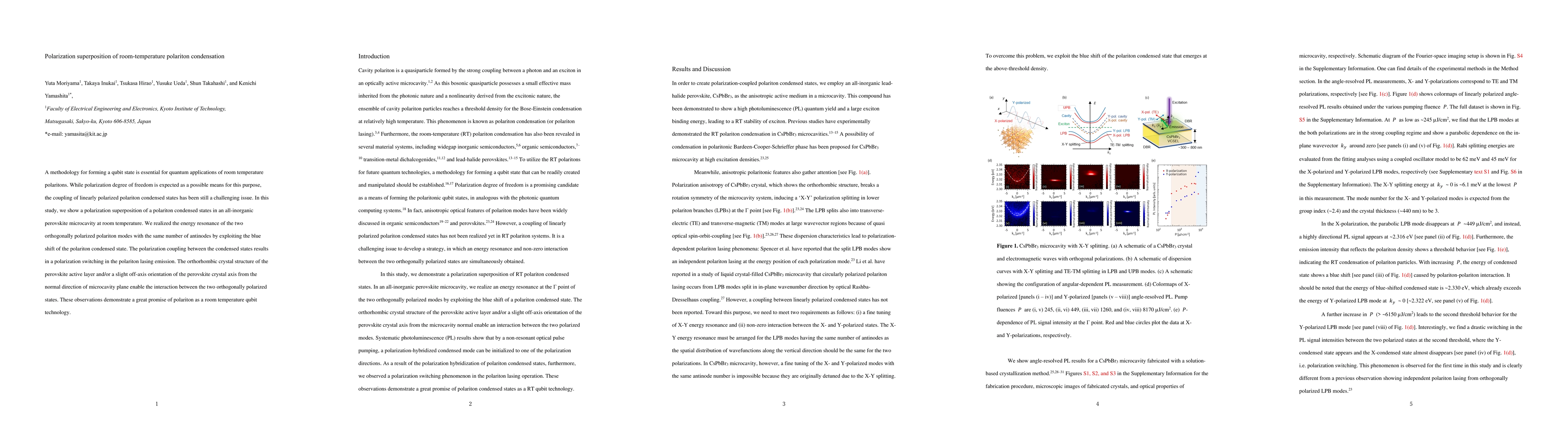 Thumbnail for Polarization superposition of room-temperature polariton condensation