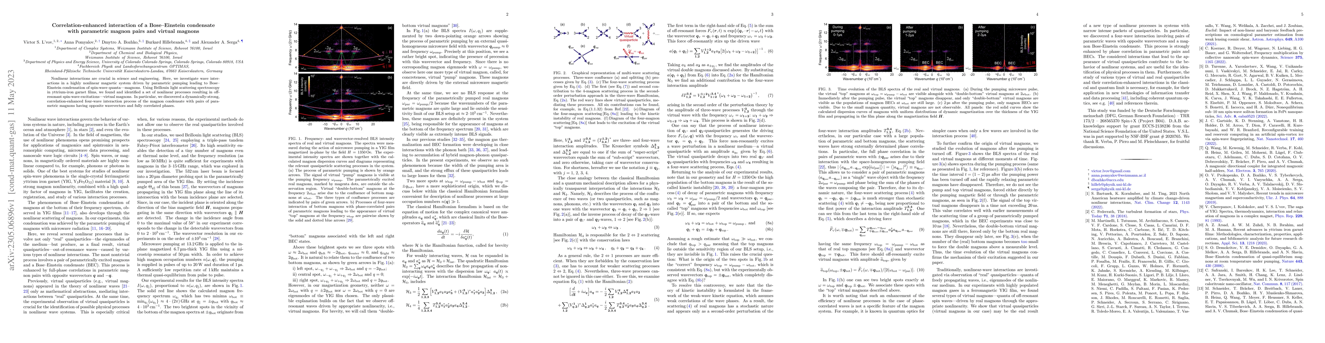 Thumbnail for Correlation-enhanced interaction of a Bose-Einstein condensate with
  parametric magnon pairs and virtual magnons