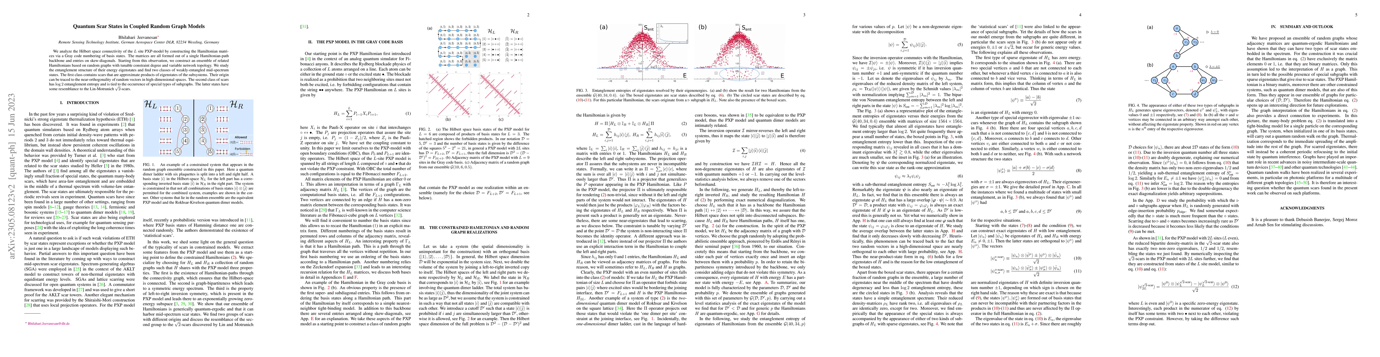 Thumbnail for Quantum Scar States in Coupled Random Graph Models