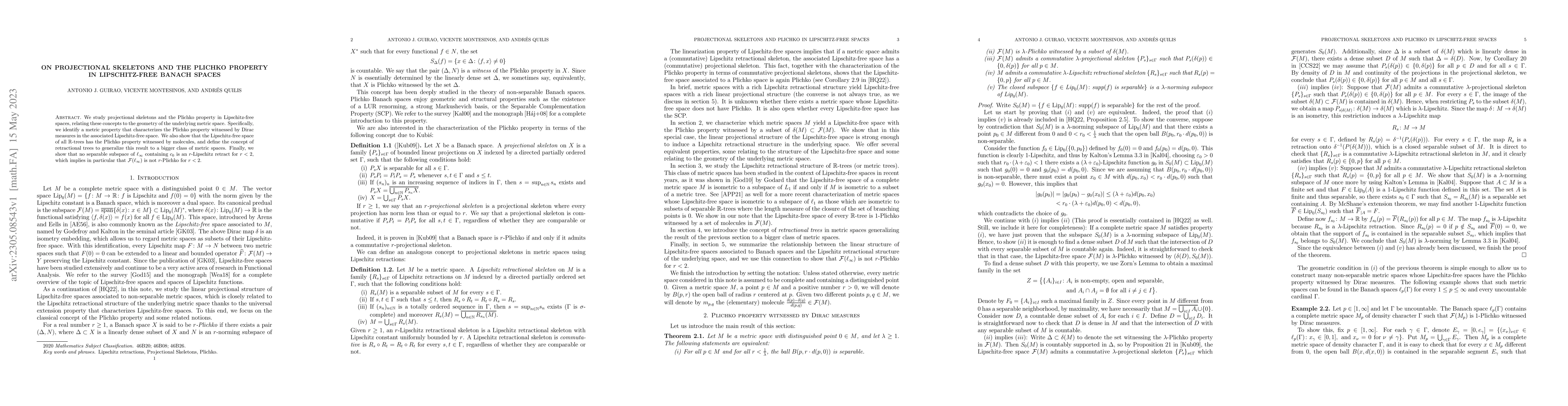 Thumbnail for On projectional skeletons and the Plichko property in Lipschitz-free
  Banach spaces
