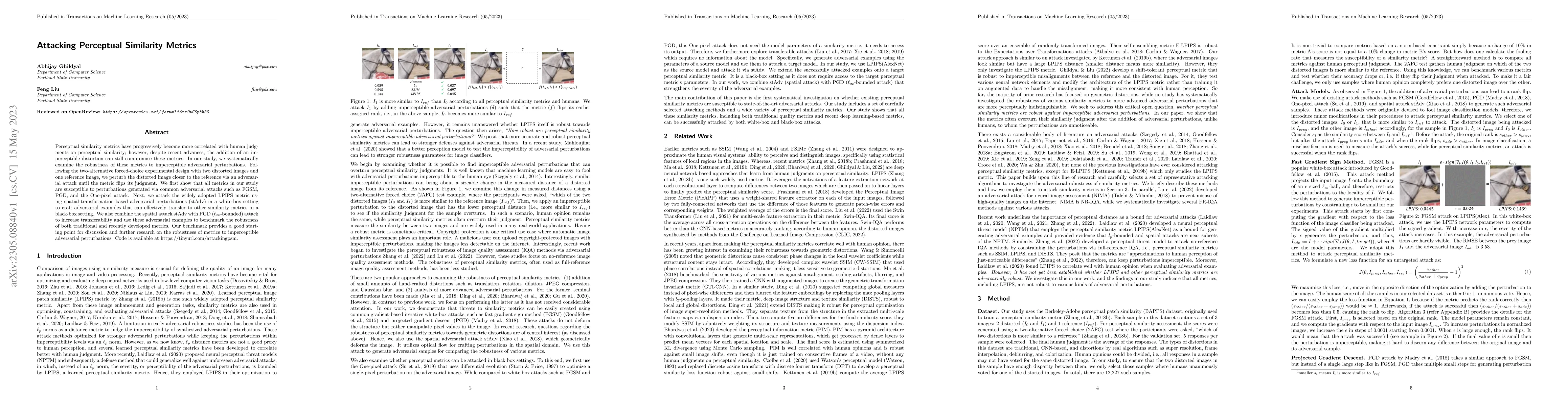 Thumbnail for Attacking Perceptual Similarity Metrics