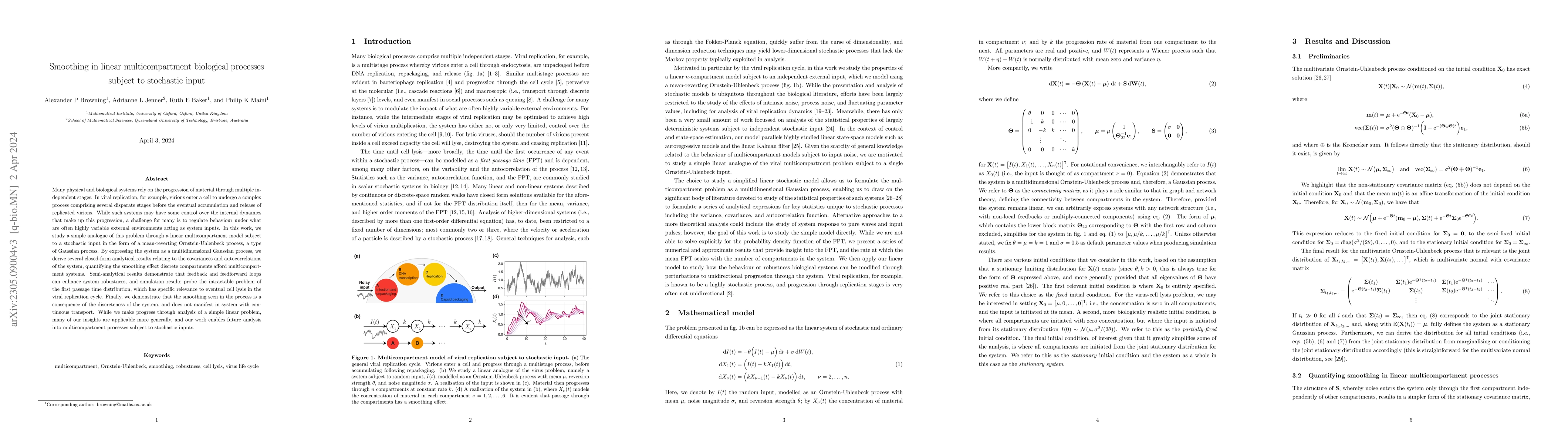 Thumbnail for Smoothing in linear multicompartment biological processes subject to
  stochastic input