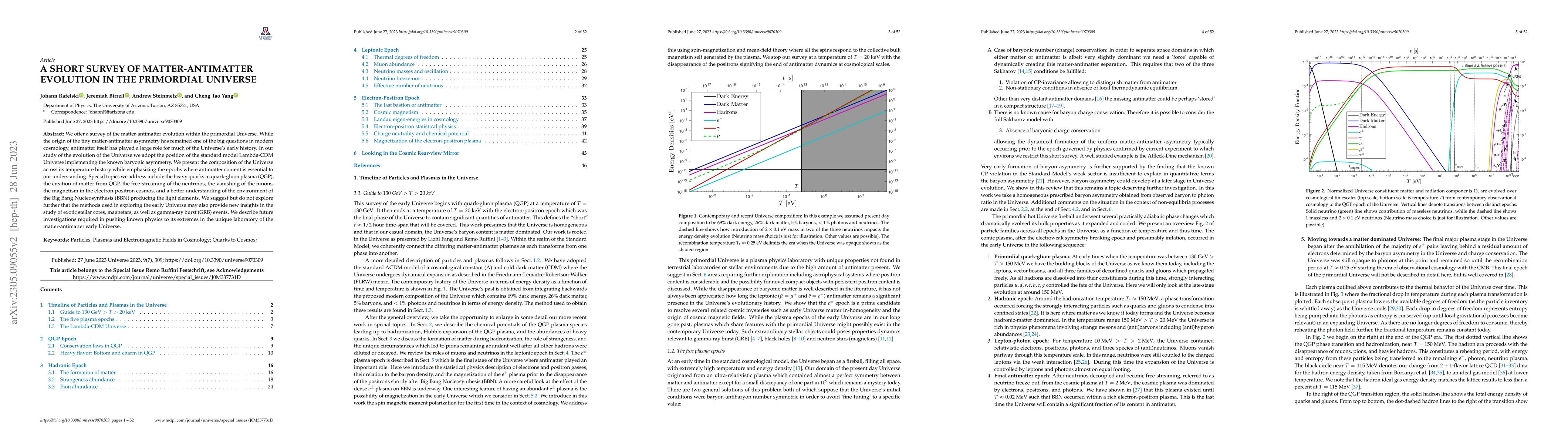Thumbnail for A short survey of matter-antimatter evolution in the primordial universe