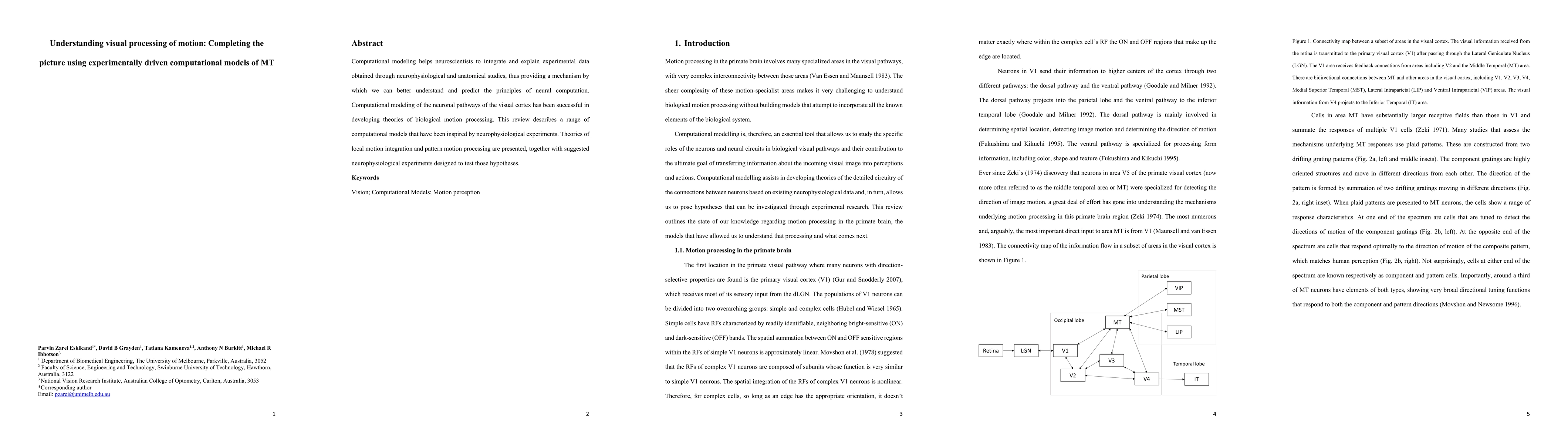 Thumbnail for Understanding visual processing of motion: Completing the picture using
  experimentally driven computational models of MT