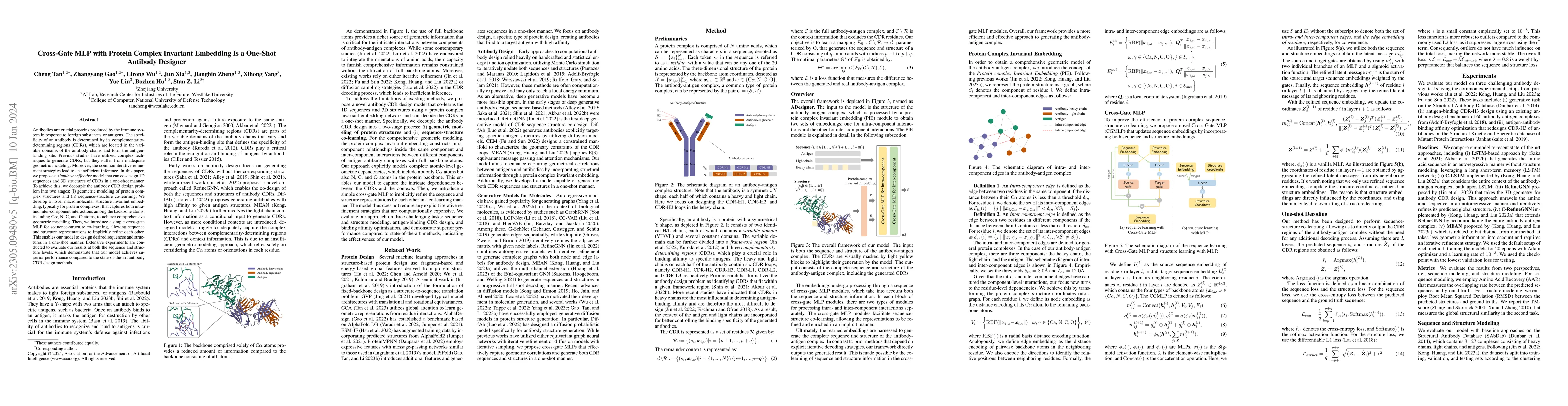 Thumbnail for Cross-Gate MLP with Protein Complex Invariant Embedding is A One-Shot
  Antibody Designer