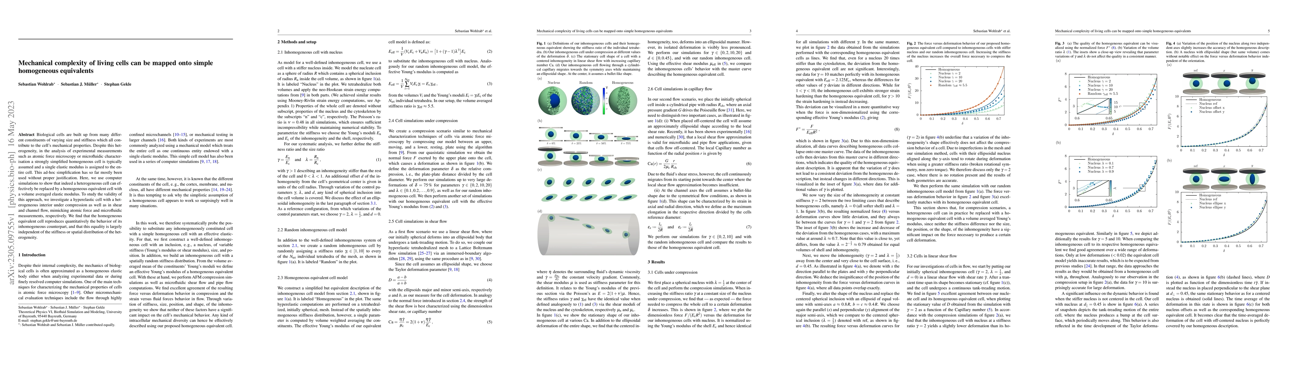 Thumbnail for Mechanical complexity of living cells can be mapped onto simple
  homogeneous equivalents