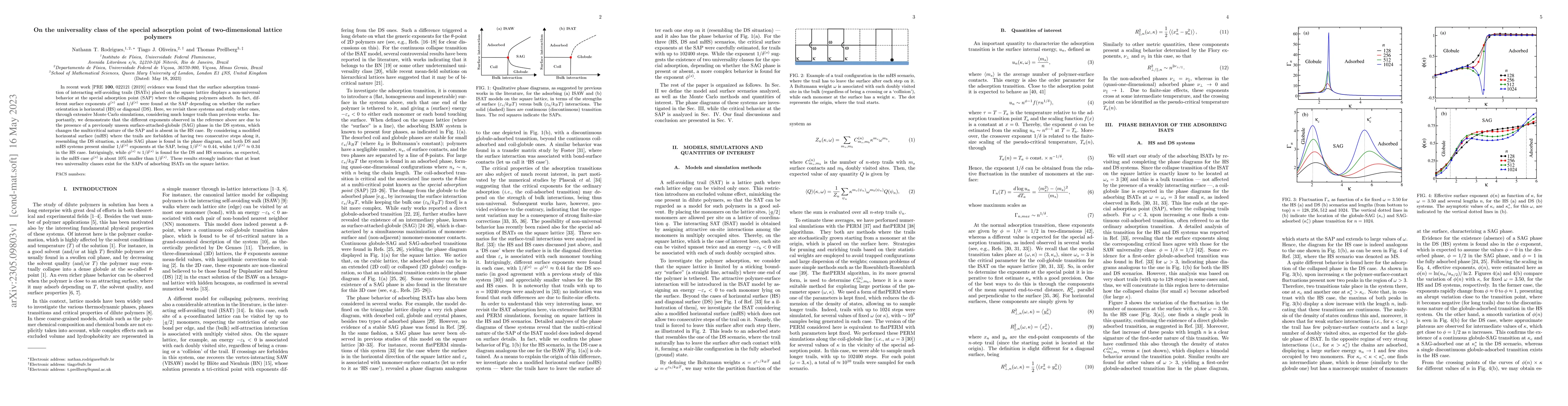 Thumbnail for On the universality class of the special adsorption point of
  two-dimensional lattice polymers