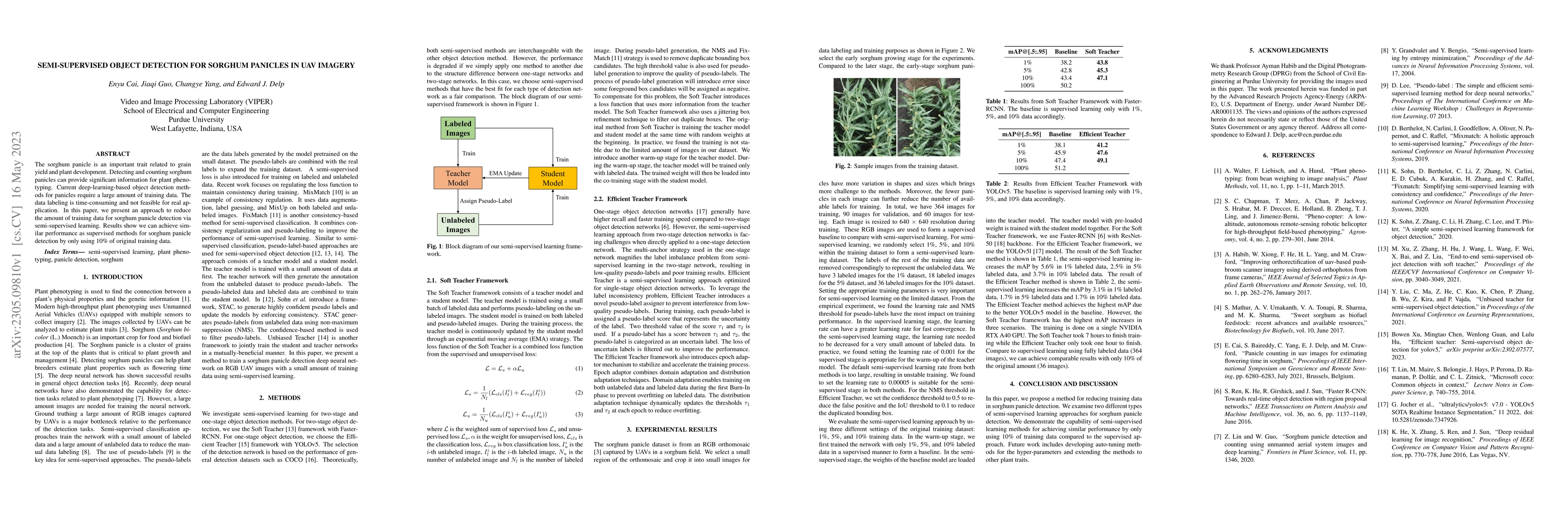 Thumbnail for Semi-Supervised Object Detection for Sorghum Panicles in UAV Imagery