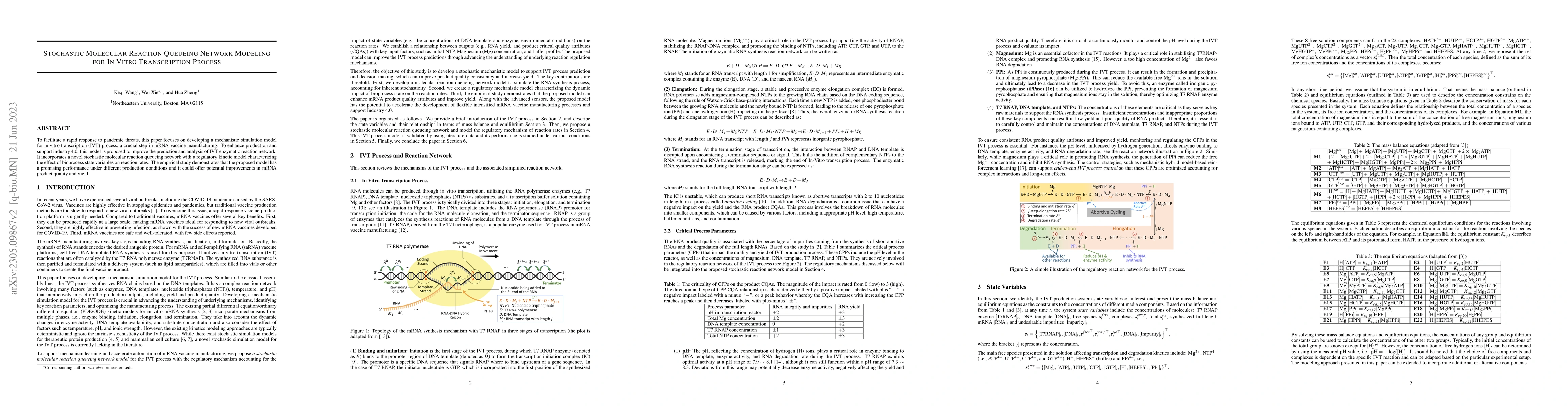 Thumbnail for Stochastic Molecular Reaction Queueing Network Modeling for In Vitro
  Transcription Process