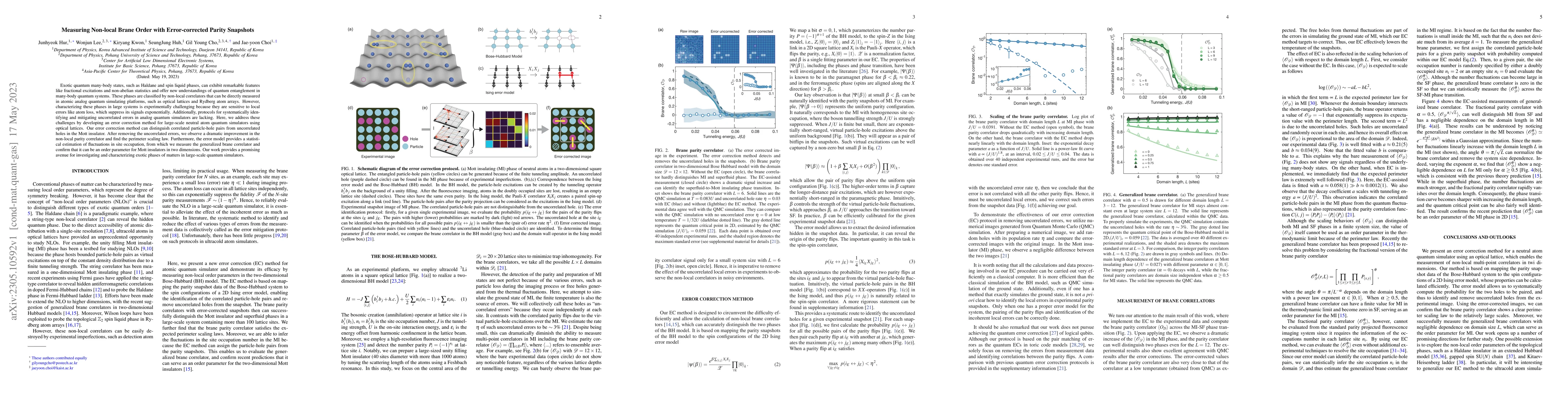 Thumbnail for Measuring Non-local Brane Order with Error-corrected Parity Snapshots