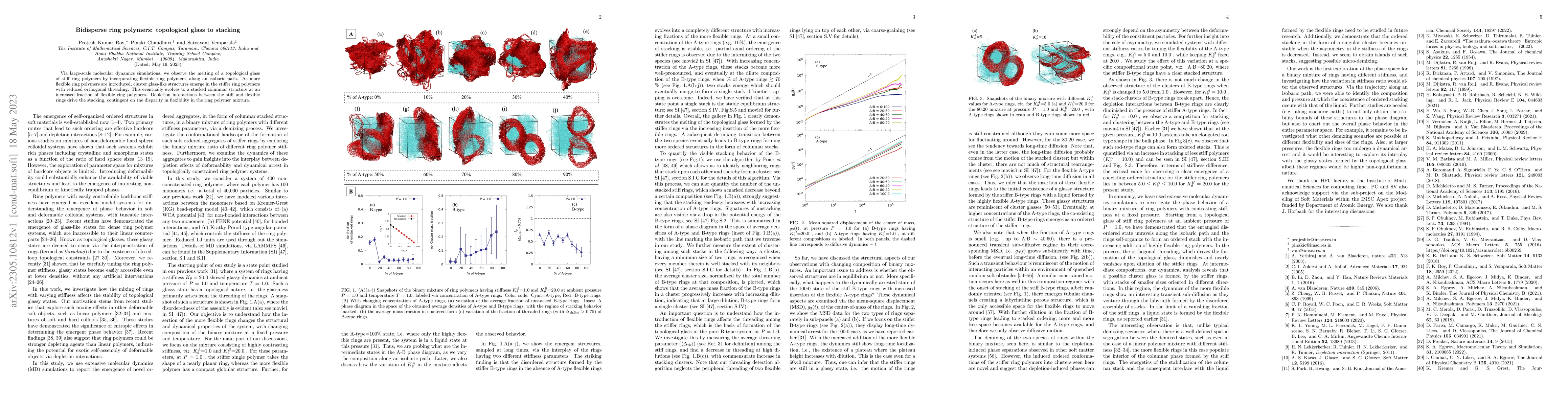Thumbnail for Bidisperse ring polymers: topological glass to stacking