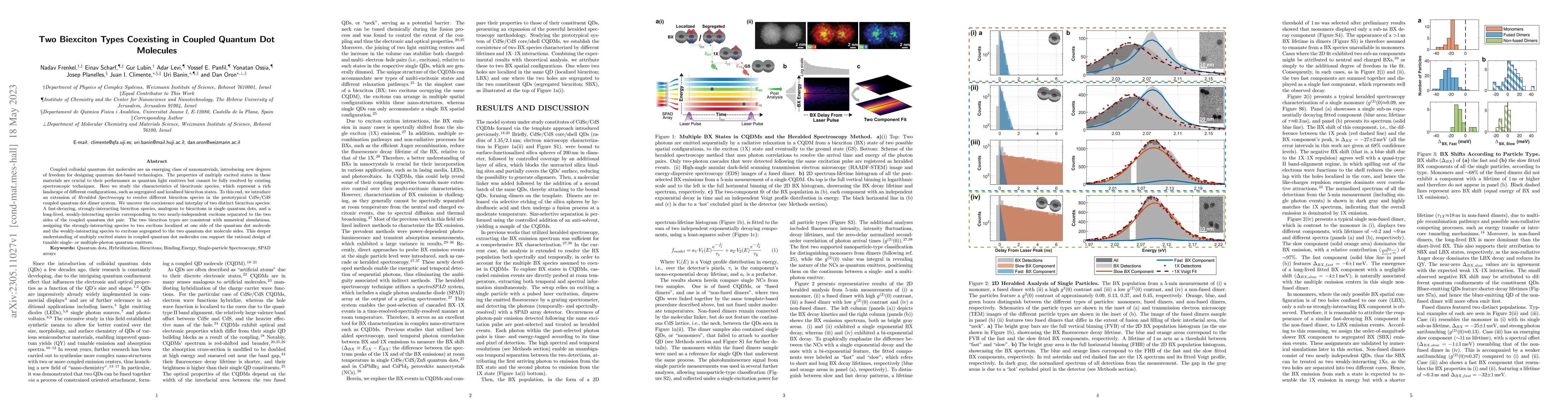 Thumbnail for Two Biexciton Types Coexisting in Coupled Quantum Dot Molecules