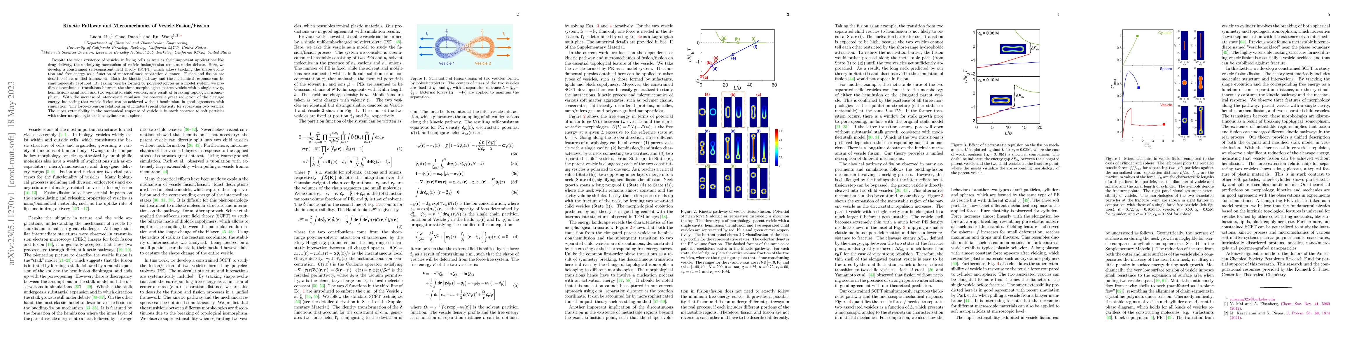 Thumbnail for Kinetic Pathway and Micromechanics of Vesicle Fusion/Fission