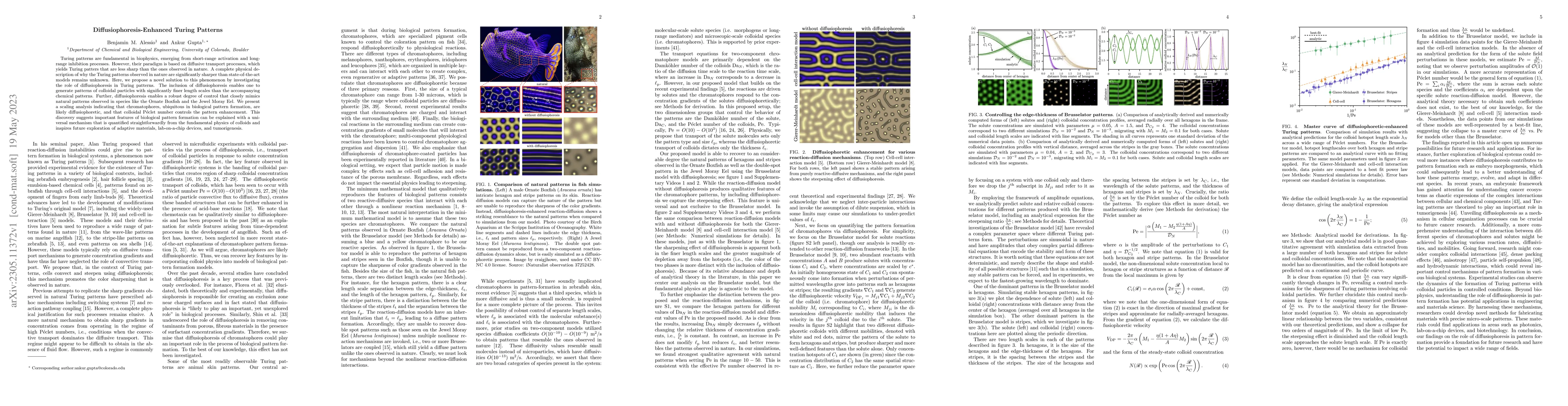Thumbnail for Diffusiophoresis-Enhanced Turing Patterns