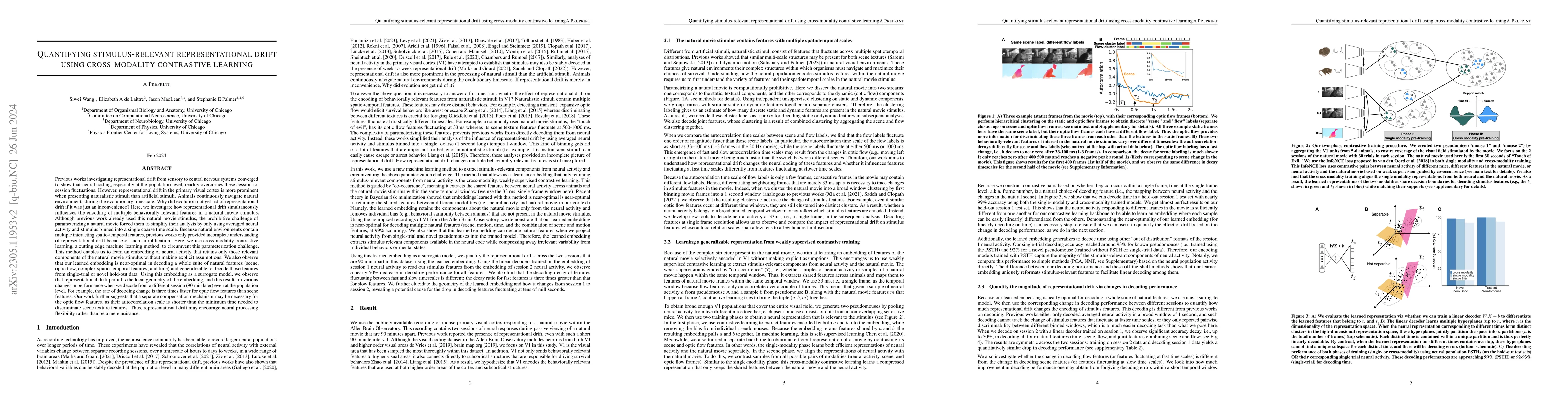 Thumbnail for Quantifying stimulus-relevant representational drift using
  cross-modality contrastive learning