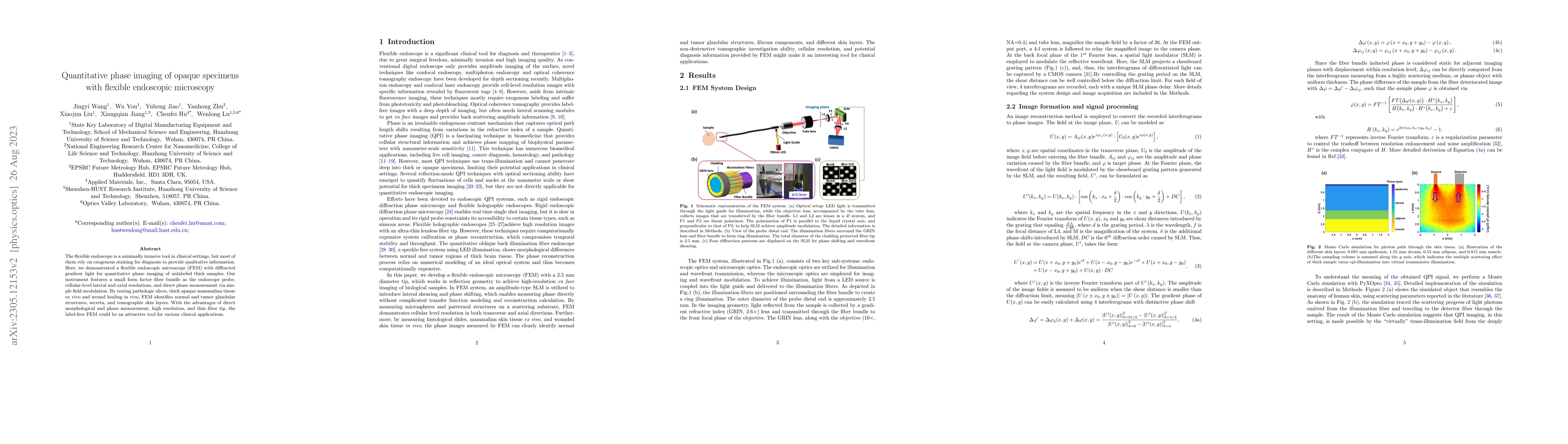 Thumbnail for Quantitative phase imaging of opaque specimens with flexible endoscopic
  microscopy