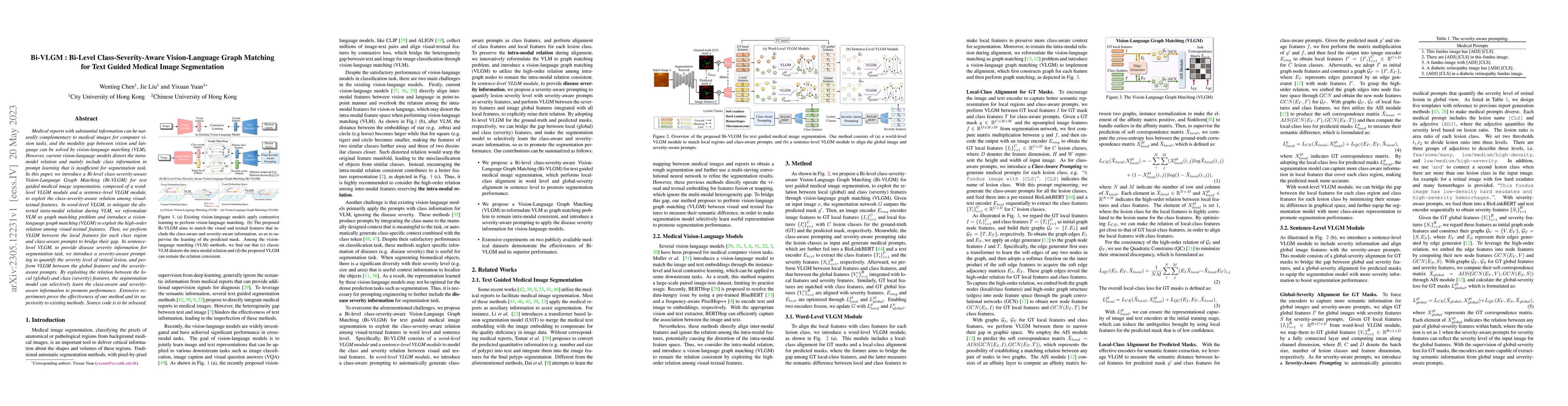 Thumbnail for Bi-VLGM : Bi-Level Class-Severity-Aware Vision-Language Graph Matching
  for Text Guided Medical Image Segmentation