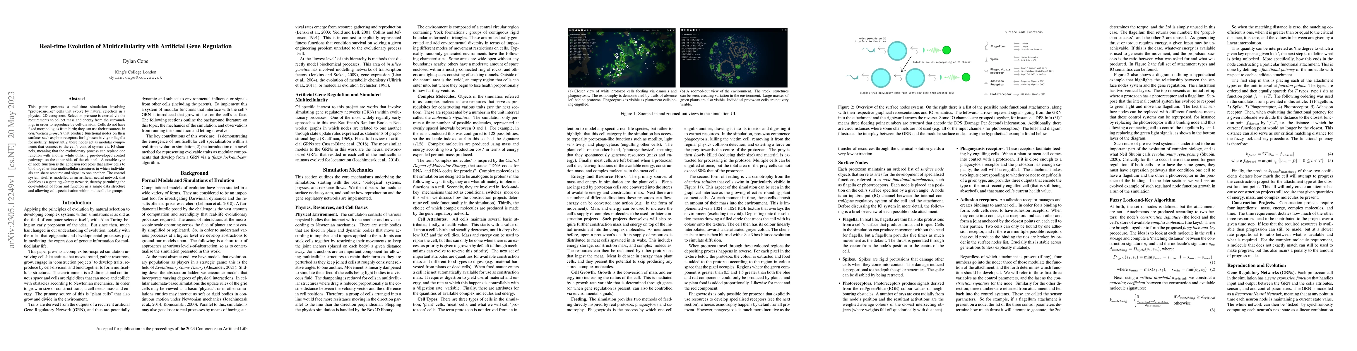 Thumbnail for Real-time Evolution of Multicellularity with Artificial Gene Regulation