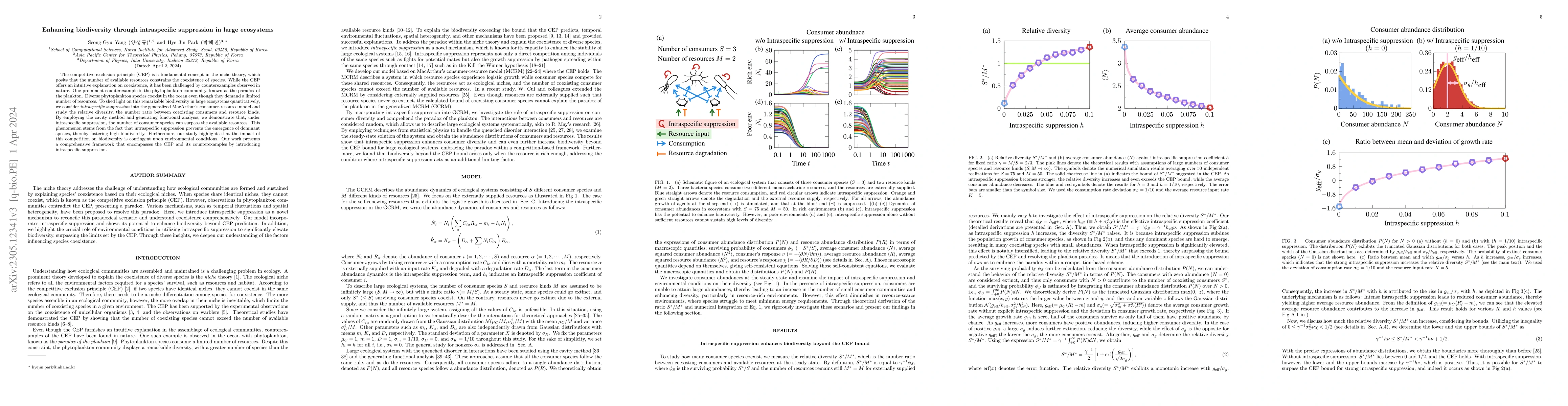Thumbnail for Enhancing biodiversity through intraspecific suppression in large
  ecosystems