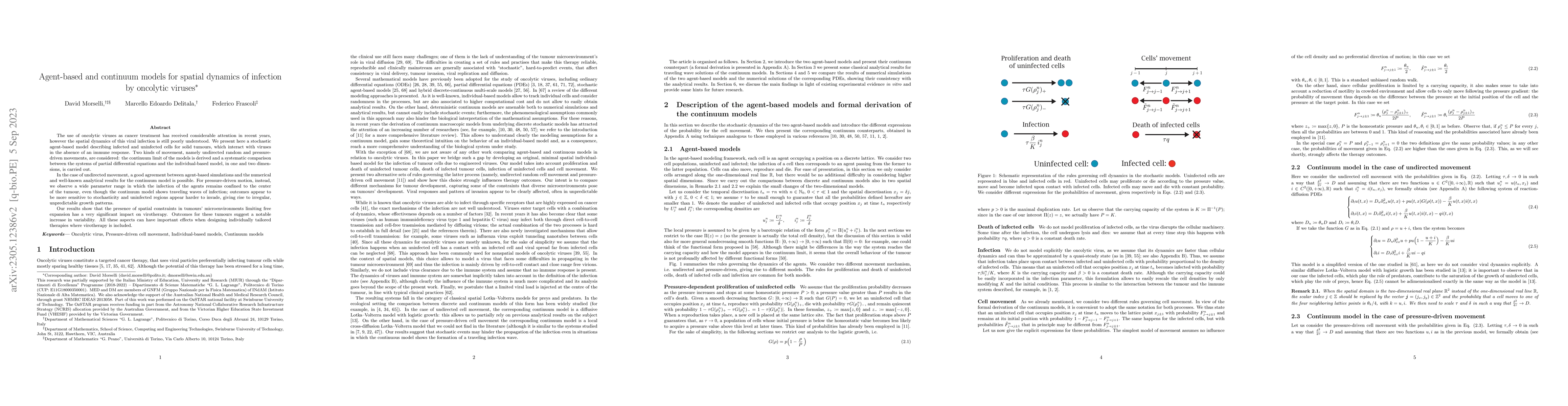 Thumbnail for Agent-based and continuum models for spatial dynamics of infection by
  oncolytic viruses