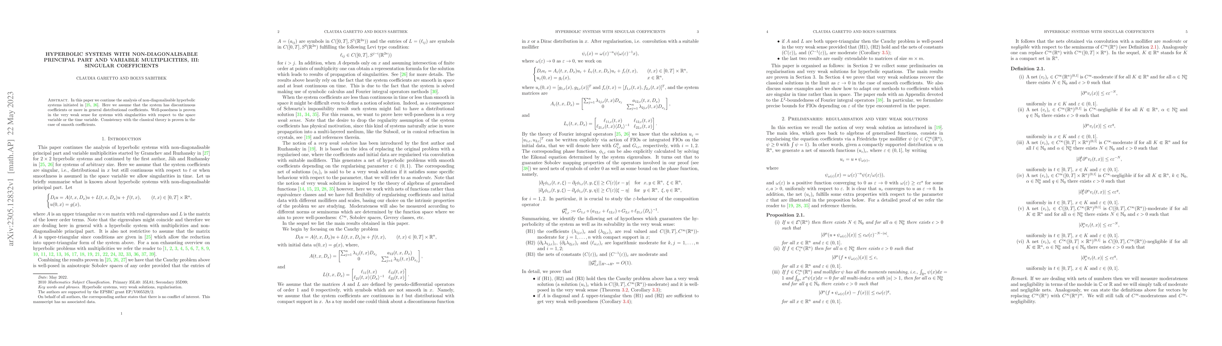 Thumbnail for Hyperbolic systems with non-diagonalisable principal part and variable
  multiplicities, III: singular coefficients