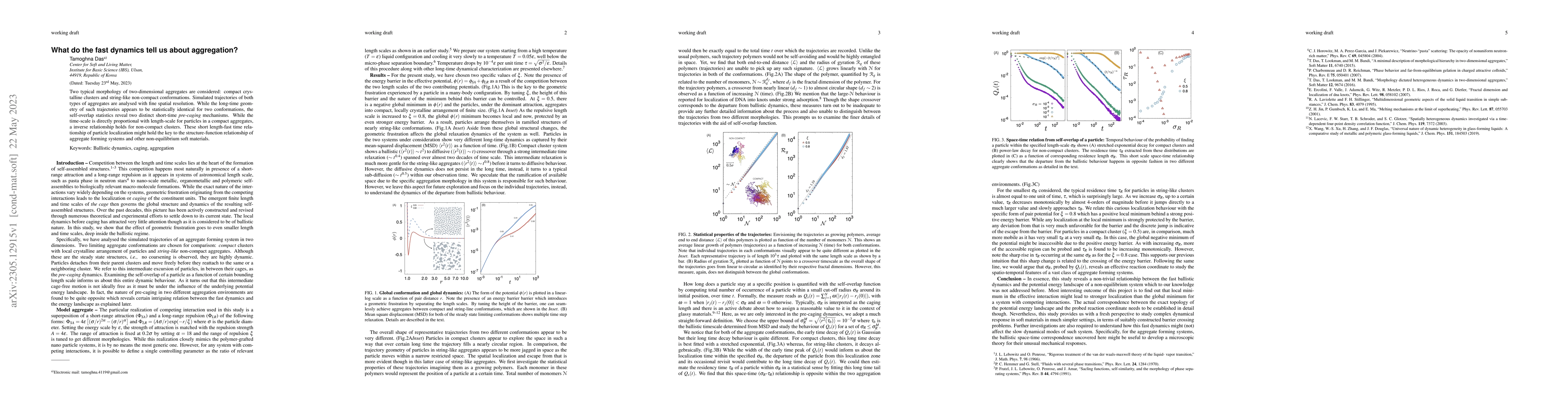 Thumbnail for What do the fast dynamics tell us about aggregation?
