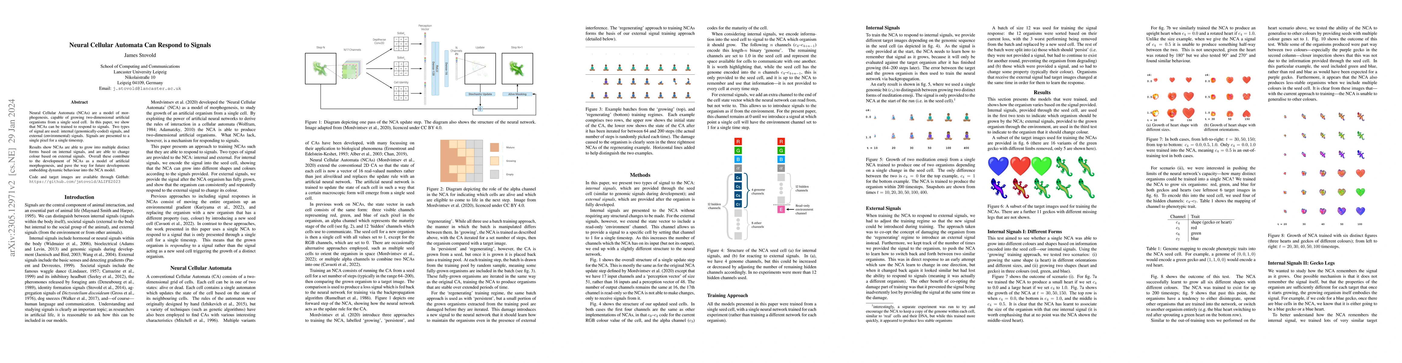 Thumbnail for Neural Cellular Automata Can Respond to Signals