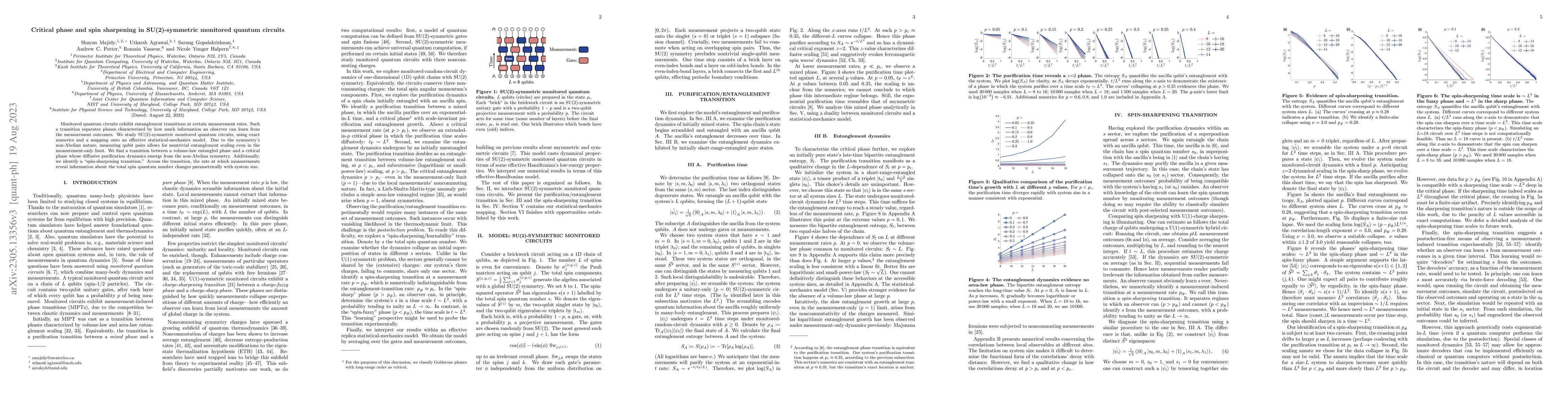 Thumbnail for Critical phase and spin sharpening in SU(2)-symmetric monitored quantum
  circuits
