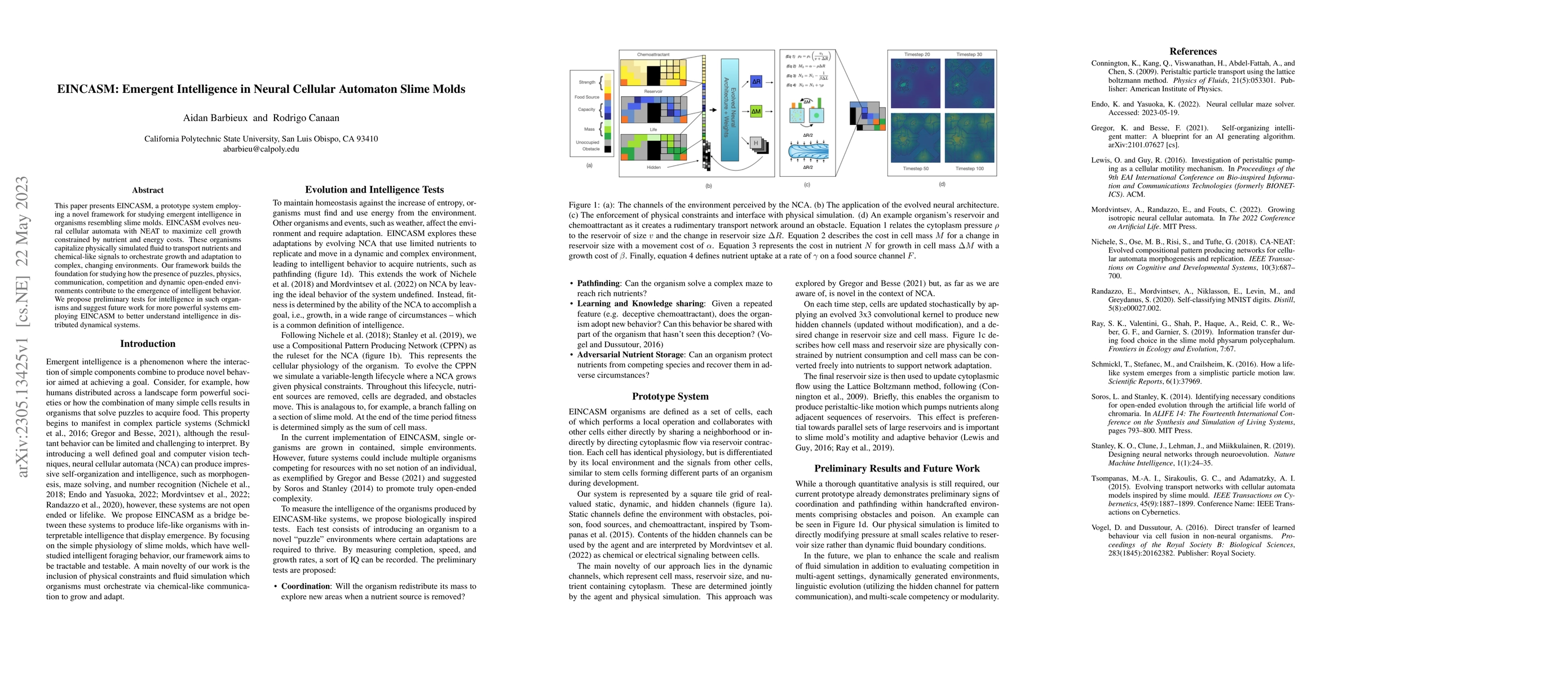 Thumbnail for EINCASM: Emergent Intelligence in Neural Cellular Automaton Slime Molds